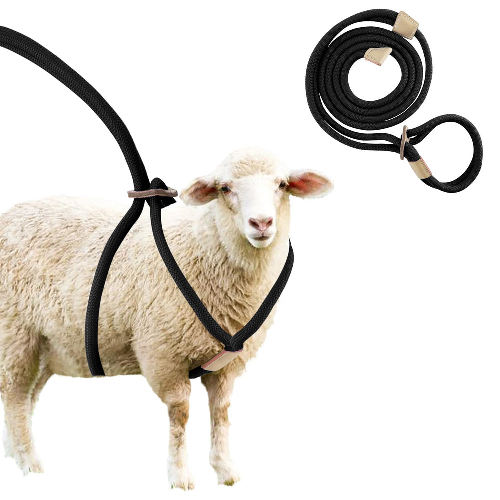 MHLLGN goat harness comfort-fit showcases secure control during daily goat walks.