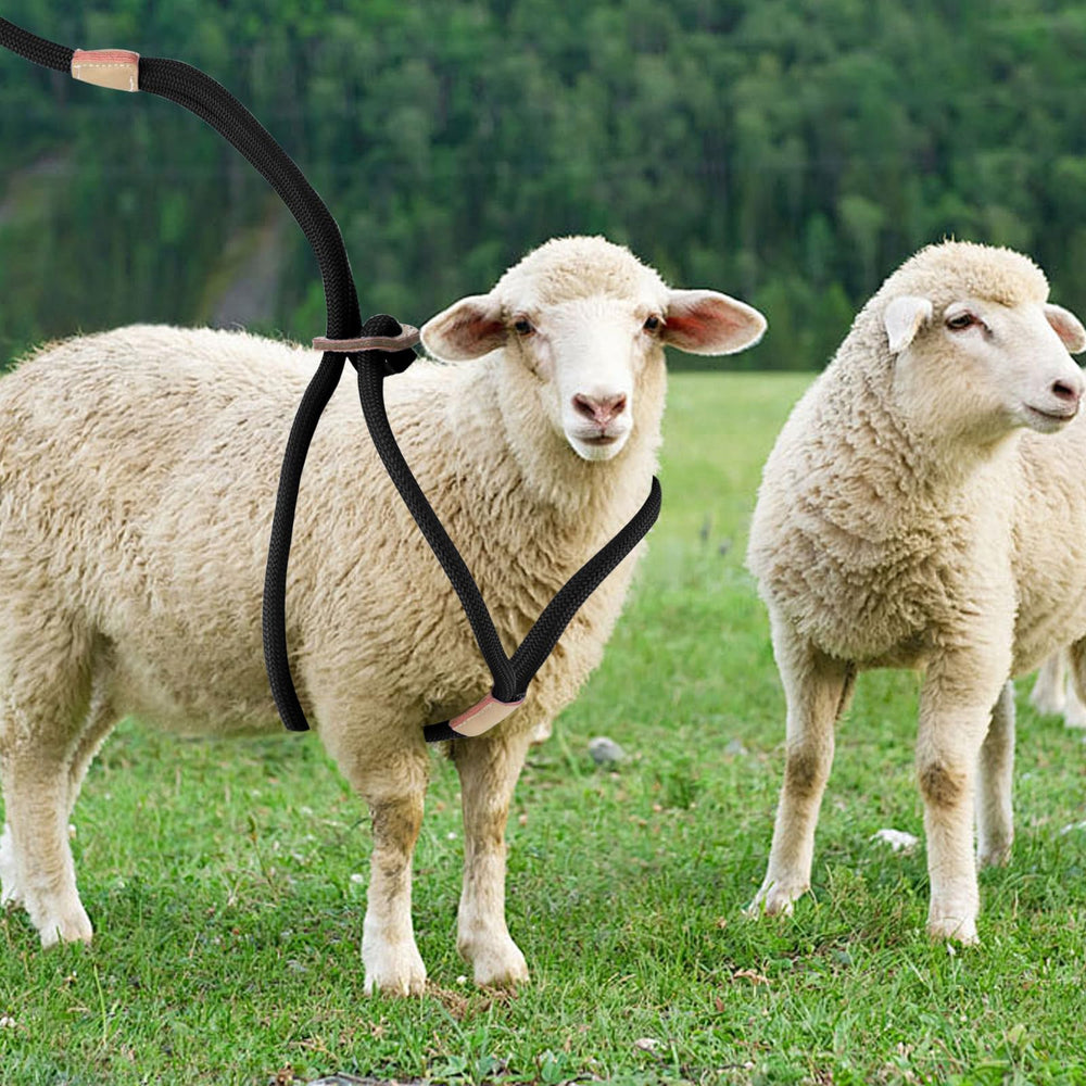 MHLLGN goat harness walking-training setup supports daily care and gentle guidance.
