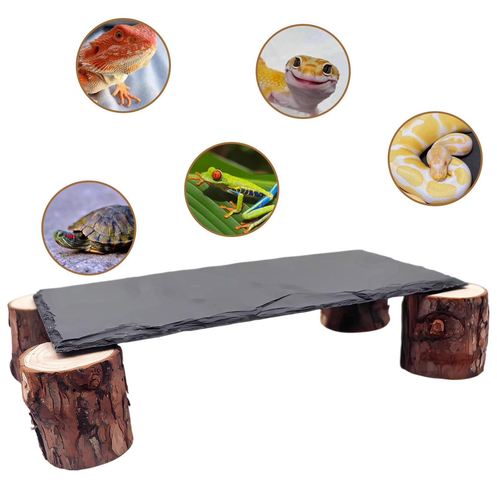 MHLLGN Leopard Gecko Hideouts—cozy caves for stress reduction and safe retreats.
