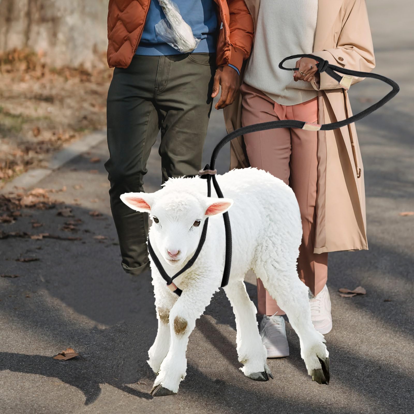 MHLLGN livestock-goats-sheep-use supports safe handling and versatile small-animal management.