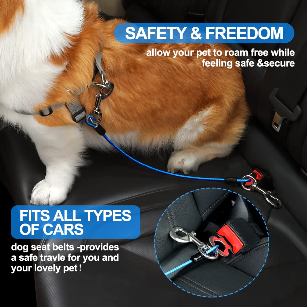 Mi Metty chew-proof tether in car highlights rugged, long-lasting travel safety.