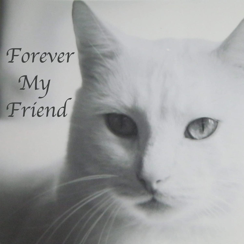Mianachilu cat memorial keeps ashes safely stored and cherished.