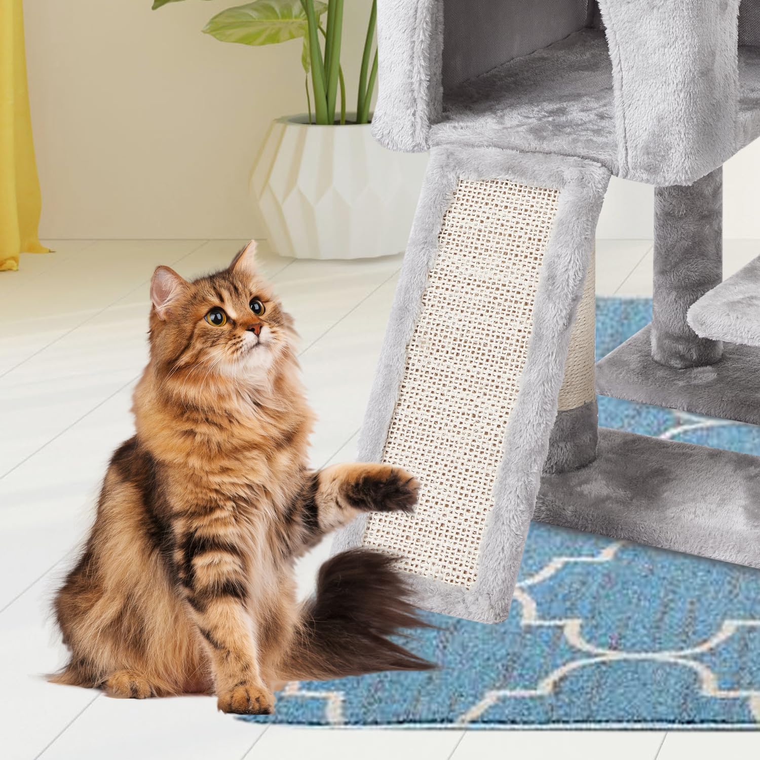 MIAO PAW assembly-included tools ease quick setup