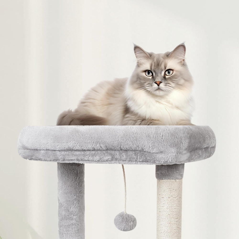 MIAO PAW sisal post close-up supports healthy scratching