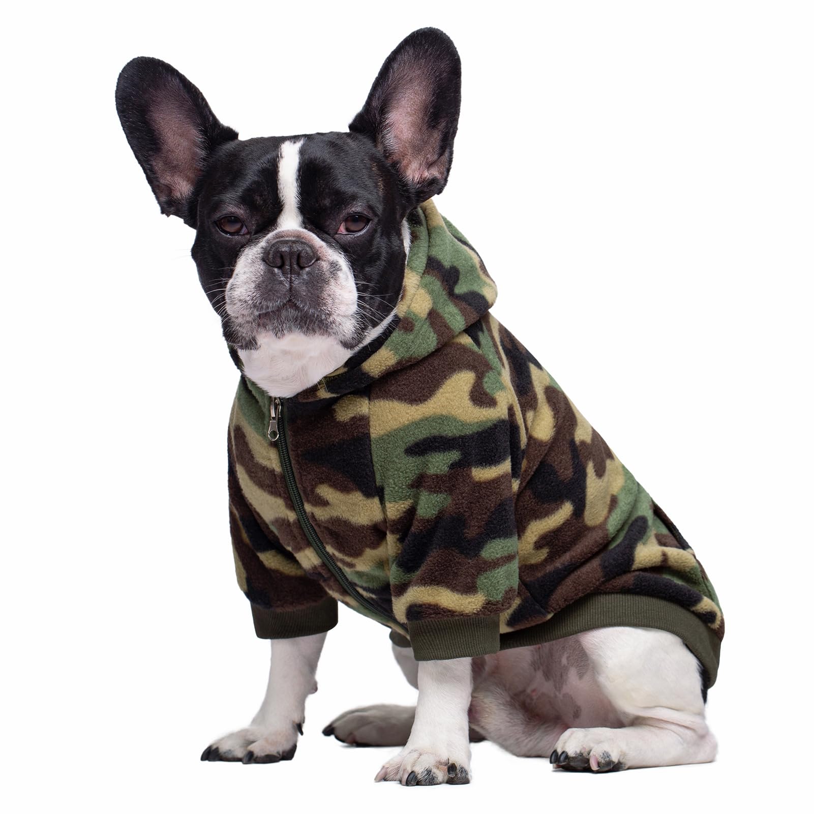 Miaododo camo dog hoodie Christmas look demonstrates festive style on walks.