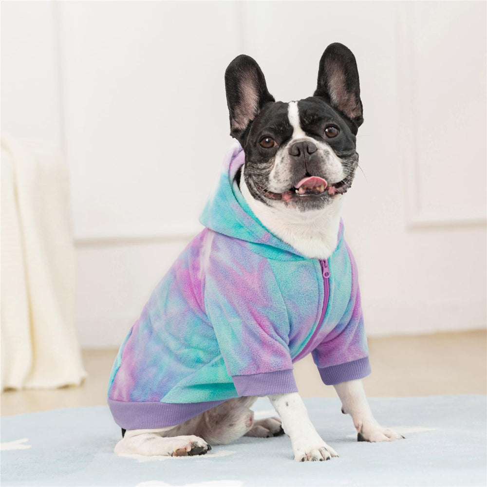 Miaododo camo dog hoodie worn by a small dog for daily comfy wear