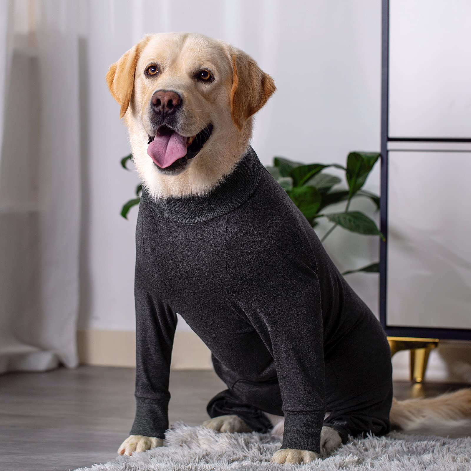 Miaododo dog-pjs-full-belly-coverage shows full belly protection for post-surgery wear