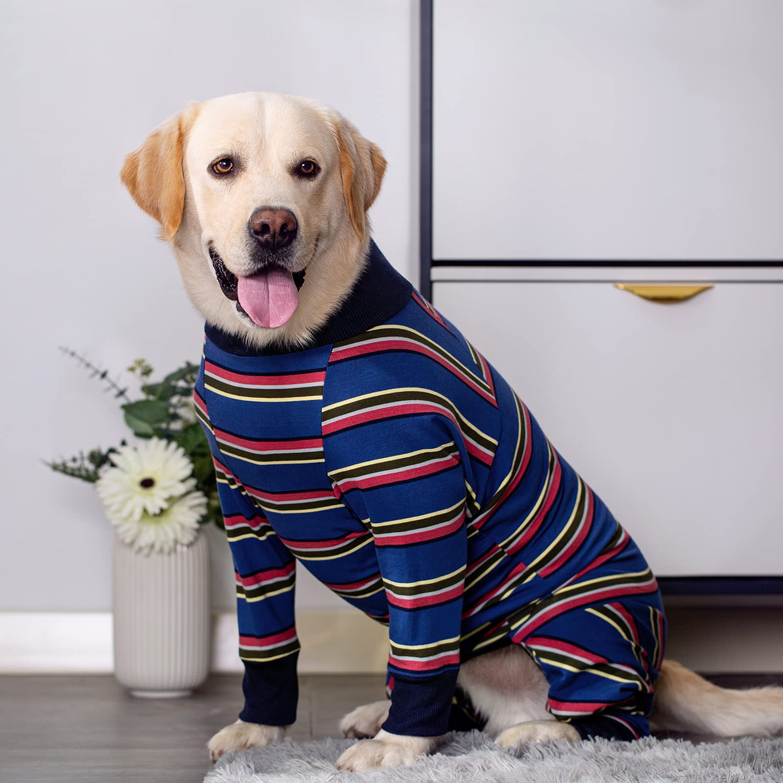 Miaododo dog recovery suit high collar keeps neck warm and cozy