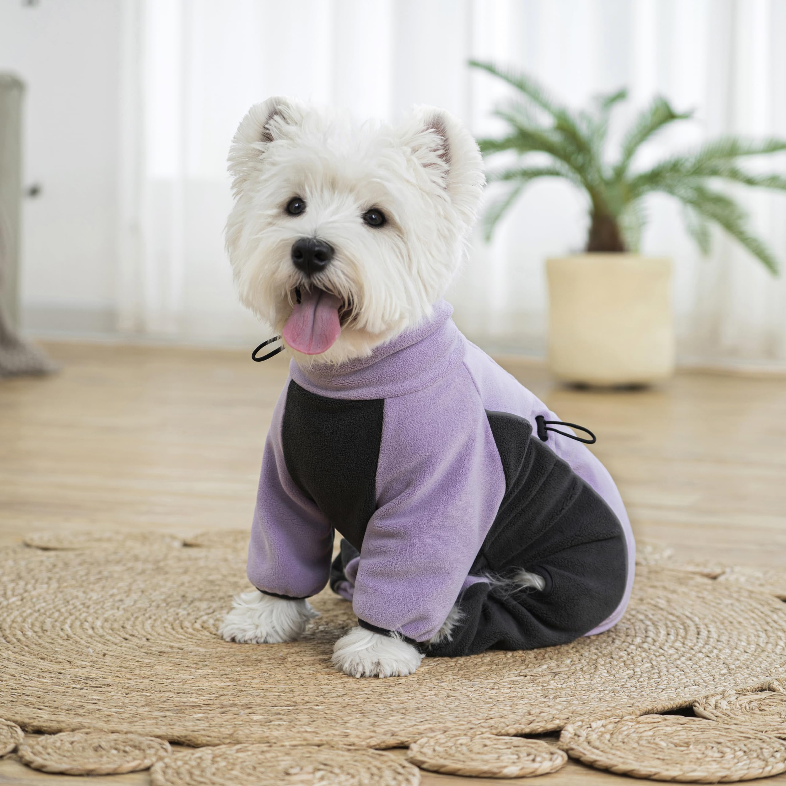 Miaododo fleece dog coat full-body-coverage showcases windproof warmth for cold days.