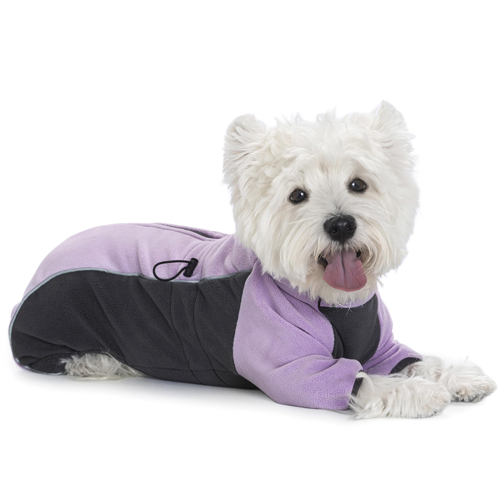 Miaododo fleece dog coat high-collar wind protection for chilly outdoor walks.