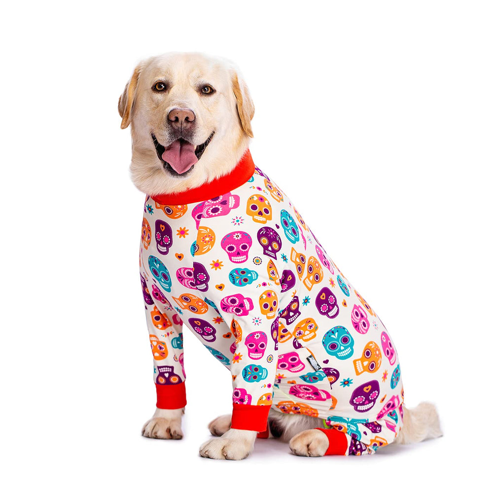 Miaododo Halloween dog recovery suit front view protects surgical site with stylish skull print.