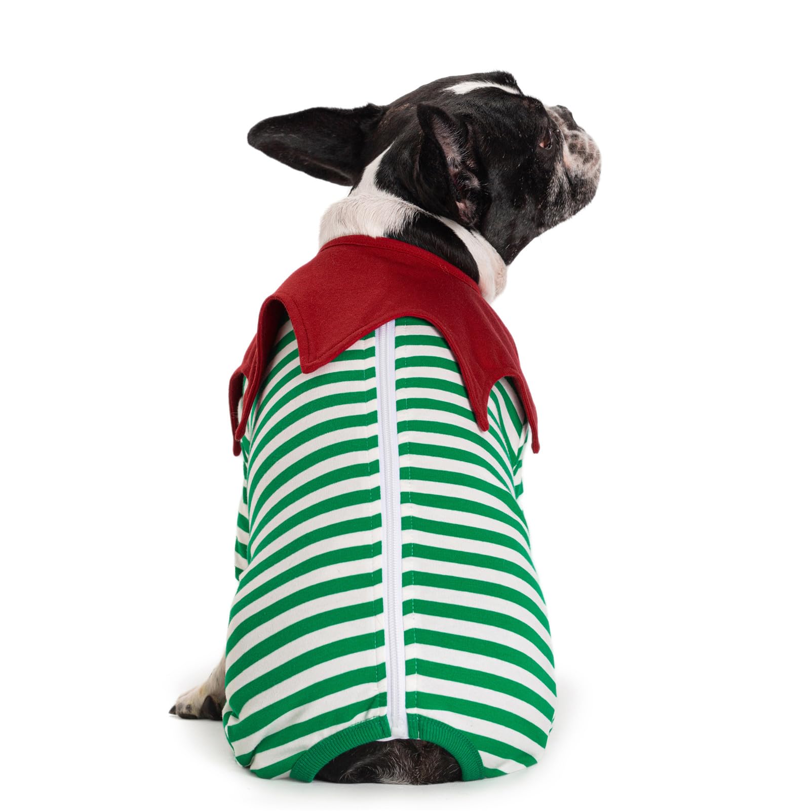 Miaododo striped dog surgery recovery suit on dog puppy enables comfortable movement after surgery