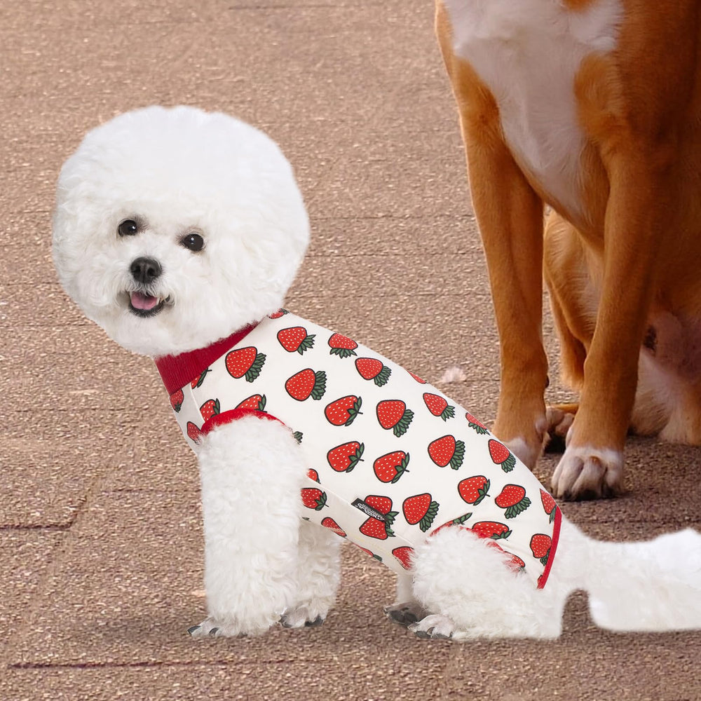 Miaododo washable-dog-onesie-durable-fabric is reusable and easy to clean.