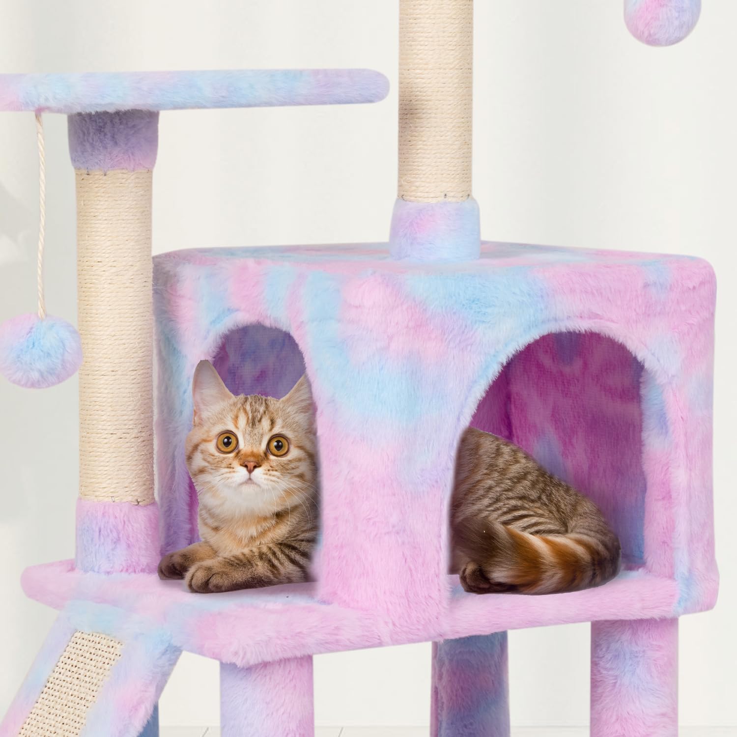 MIAO PAW Rainbow cat tree assembly tools assist quick setup at home