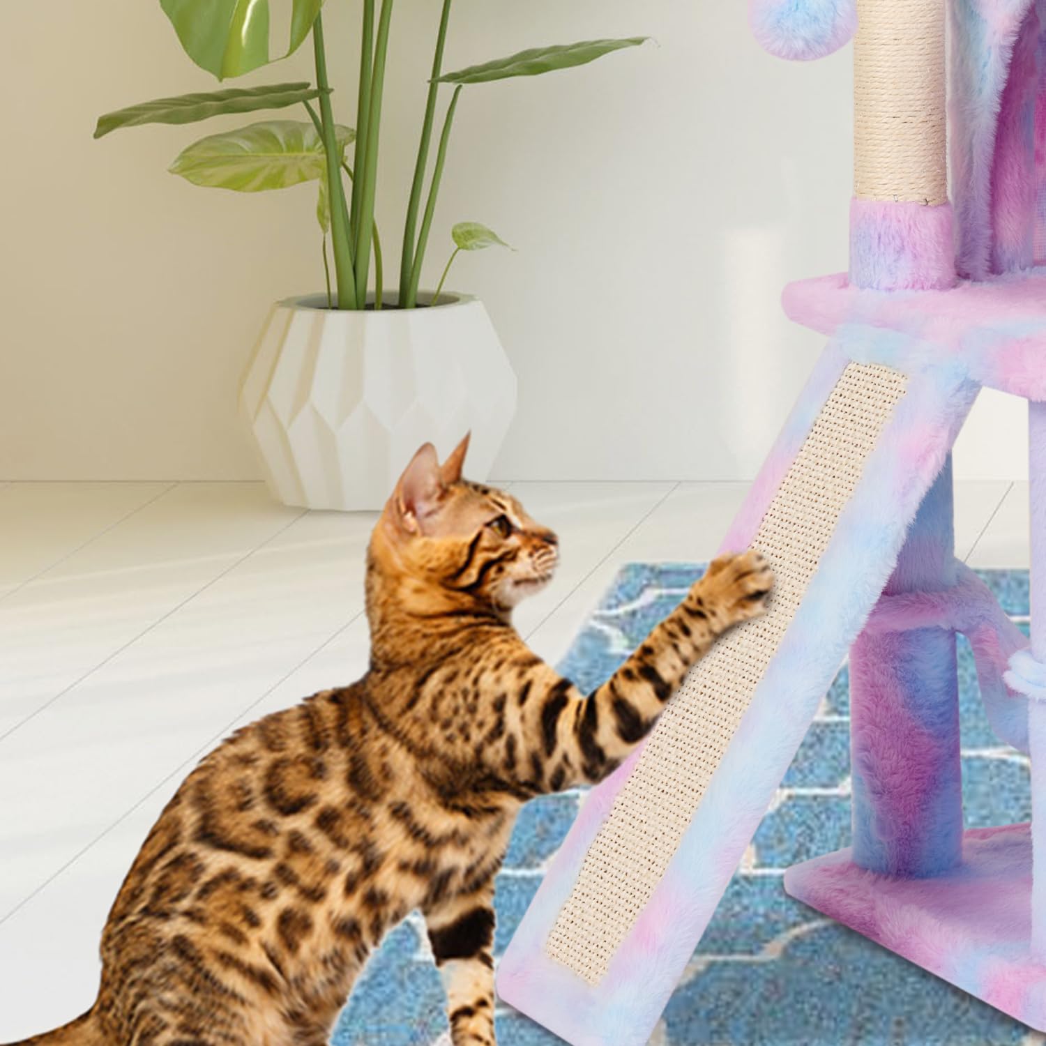 MIAO PAW Rainbow cat tree ball condo encourages interactive play