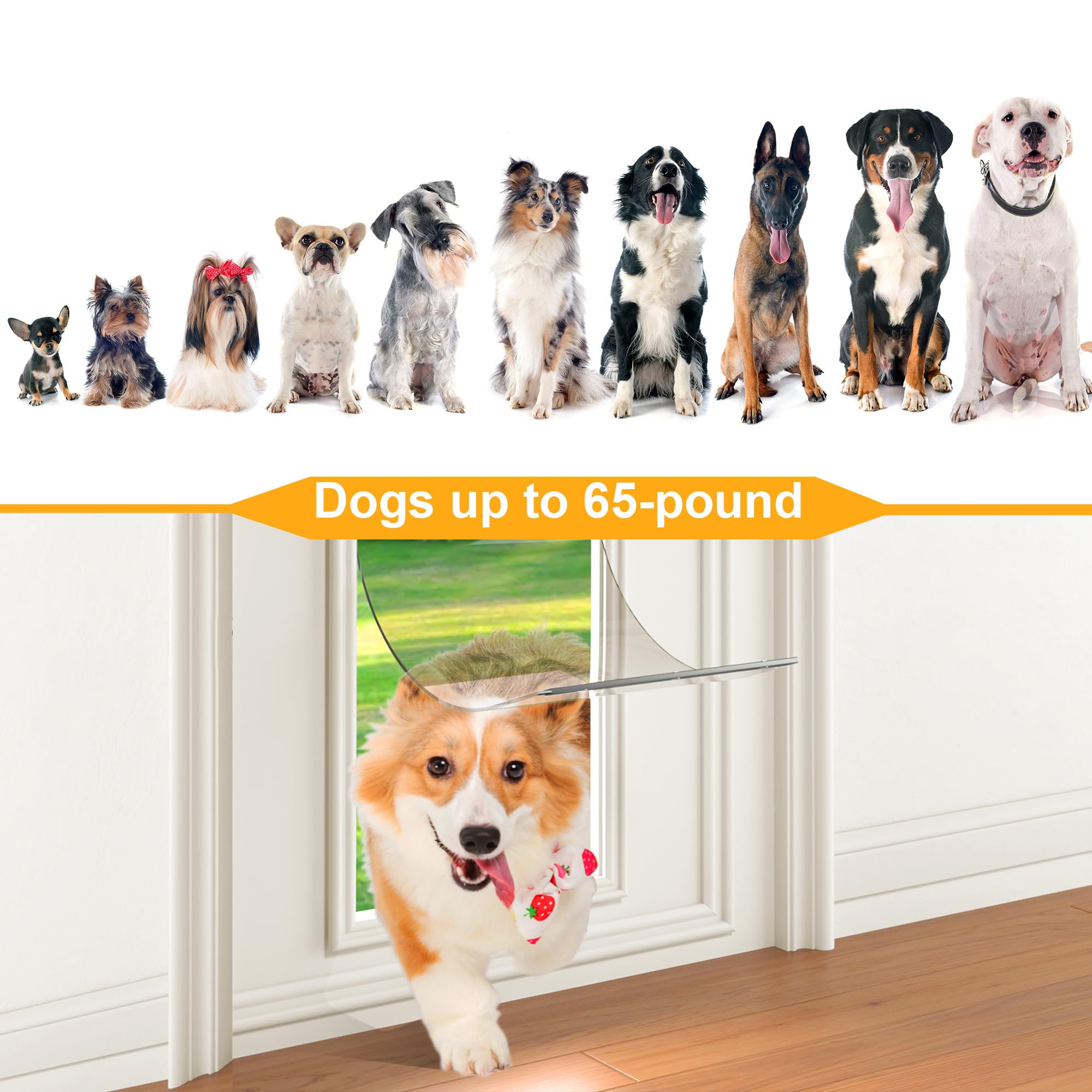 MIAOTONG 65-lb dogs pass freely with XL flap.