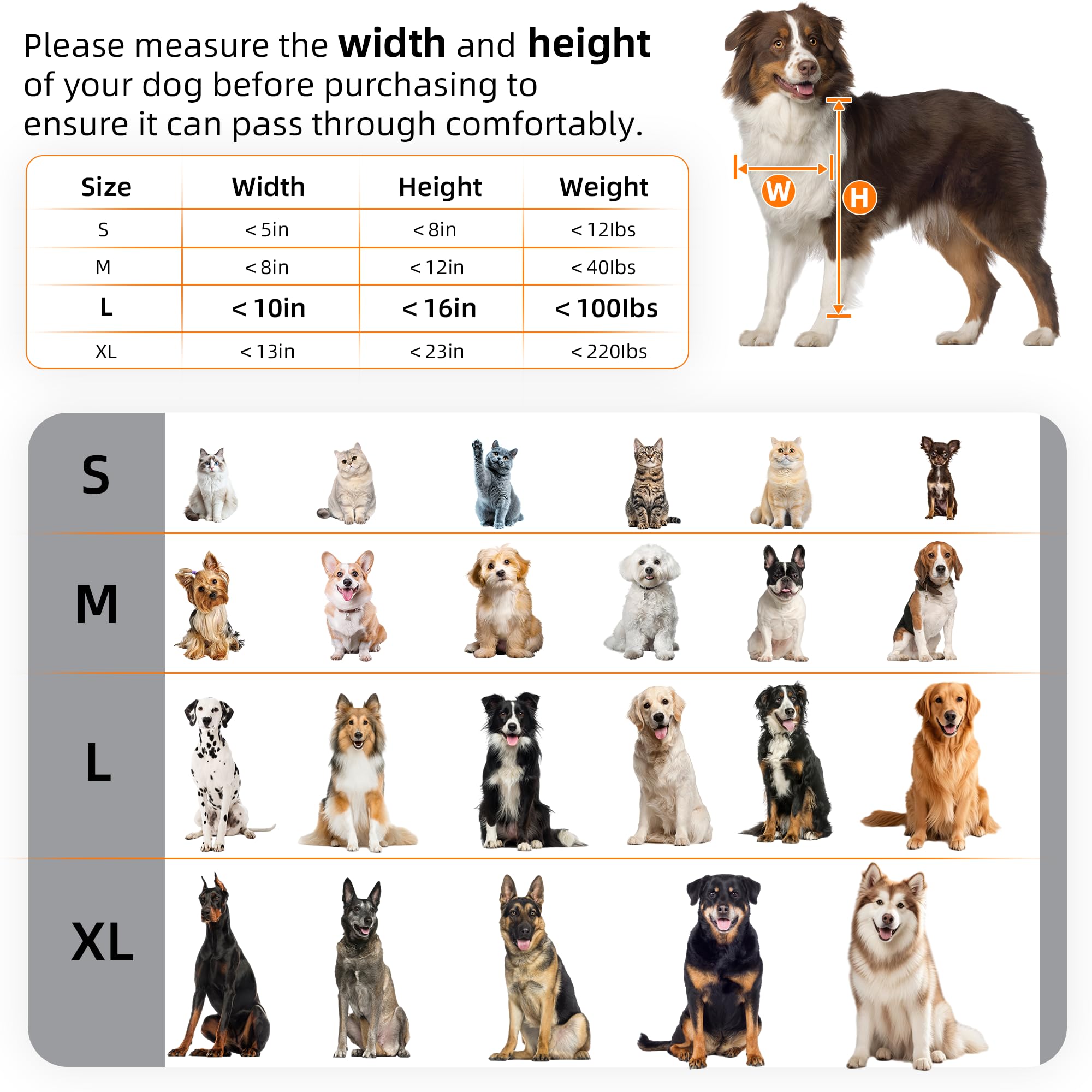 MIAOTONG dog door in use enables easy pet passage through walls.