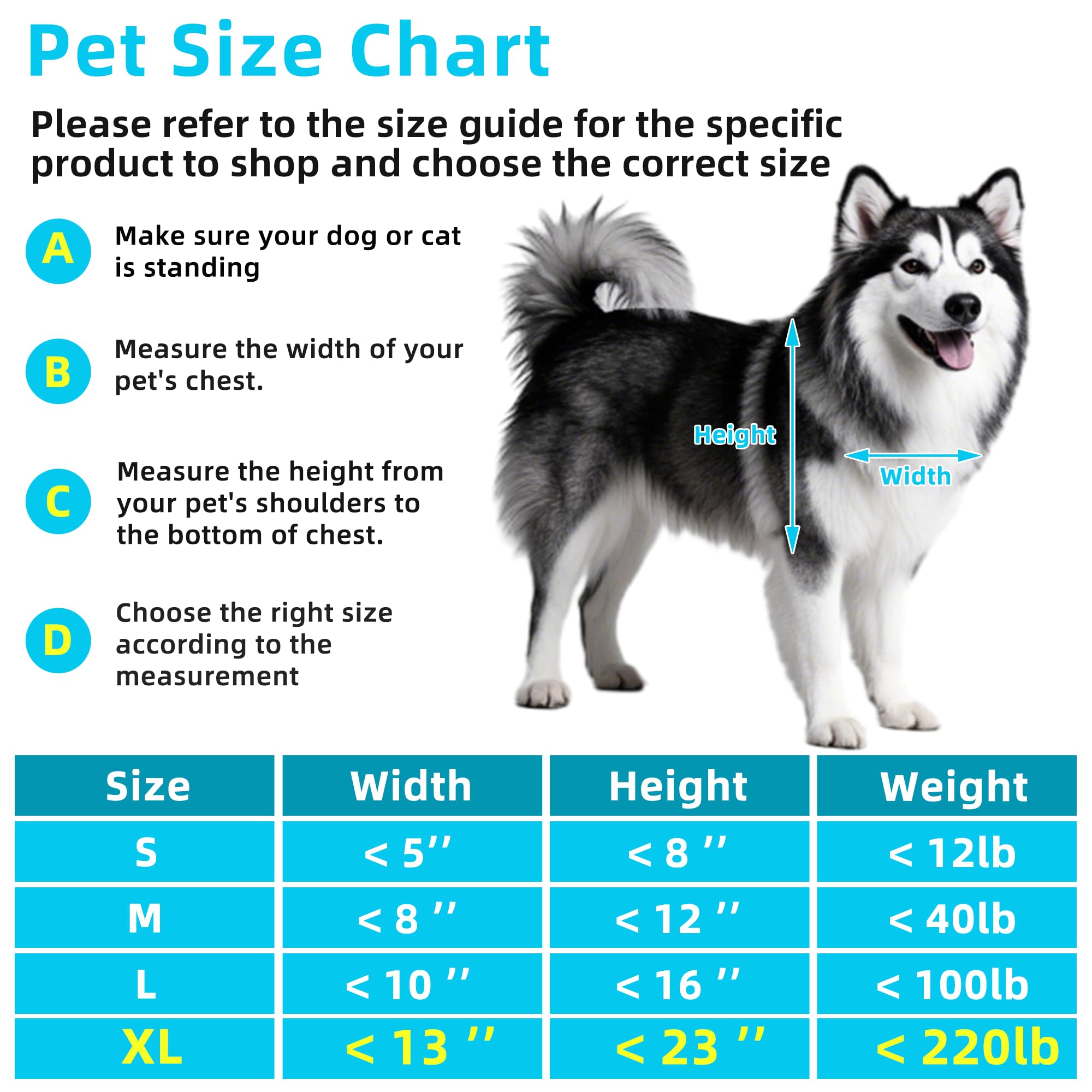 MIAOTONG XL dog door used by multiple pets in a home setting