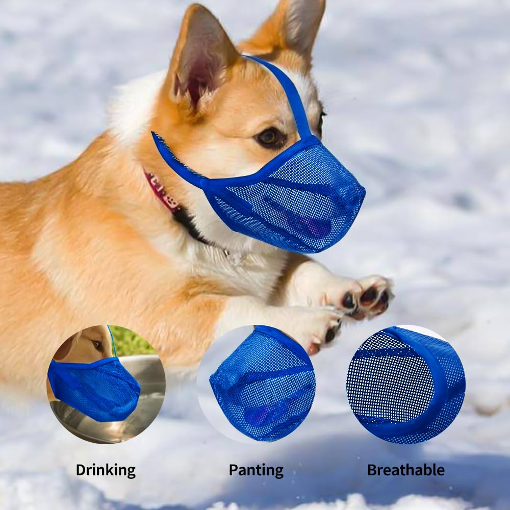 Miavers breathable mesh muzzle blue large demonstrates comfort and airflow during daily wear