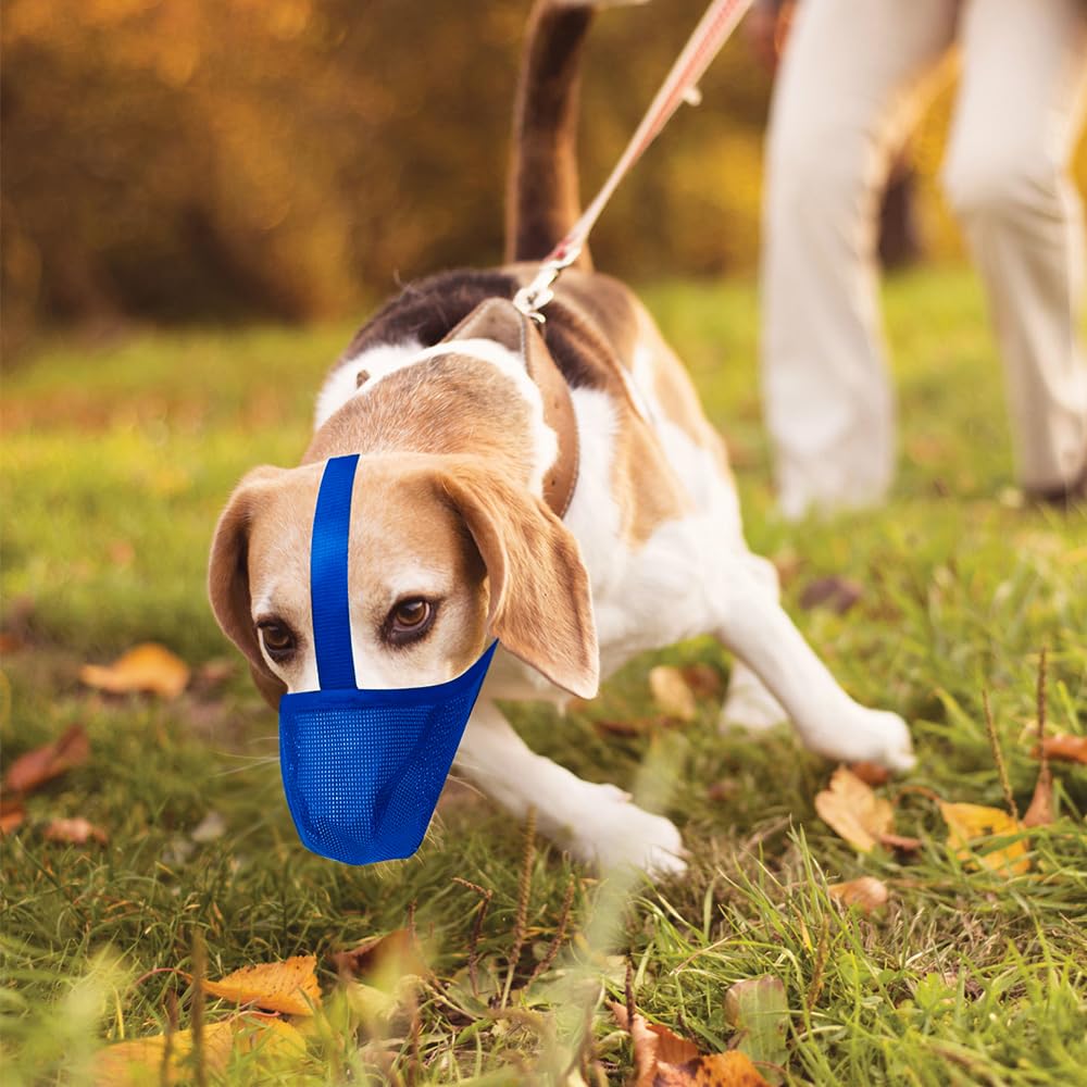 Miavers muzzle blue large use on narrow-path walks to reduce barking
