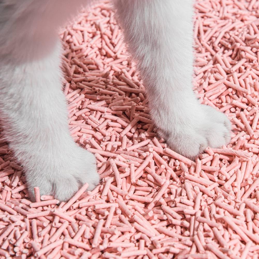 Michu tofu cat litter natural biodegradable formula and flushable option.