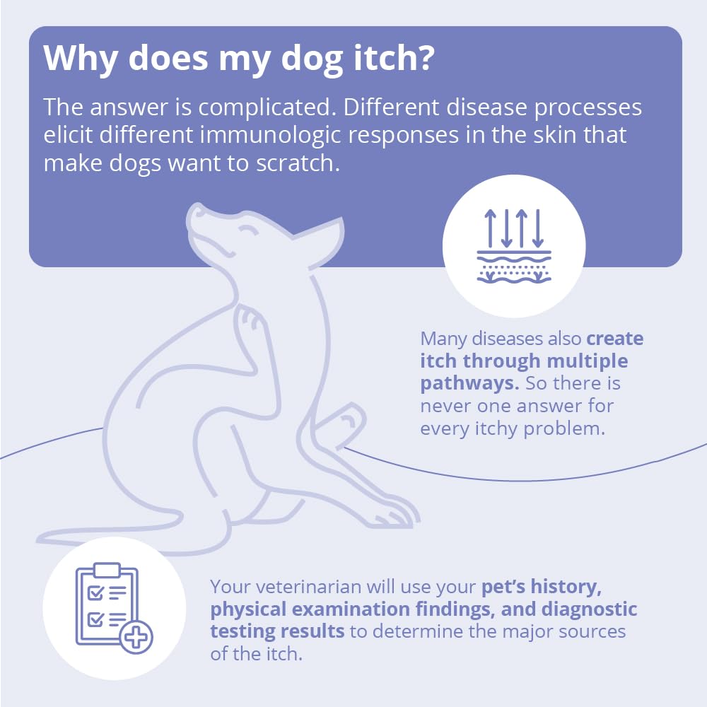 MiconaHex+Triz shampoo for horse mane—gentle cleansing across large coats