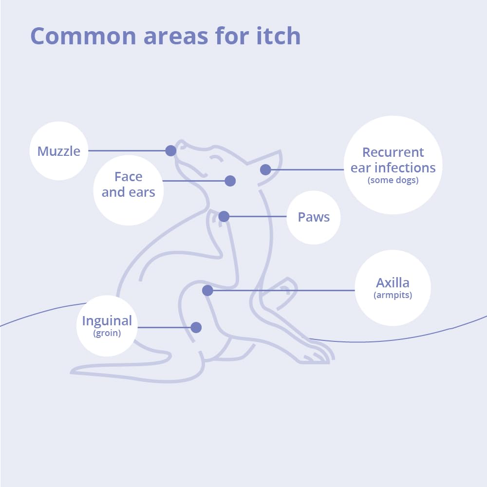 MiconaHex+Triz spray bottle closeup highlighting user-friendly design for quick treatment.