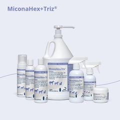 MiconaHex+Triz spray horses mane application supporting healthy skin on sensitive areas.
