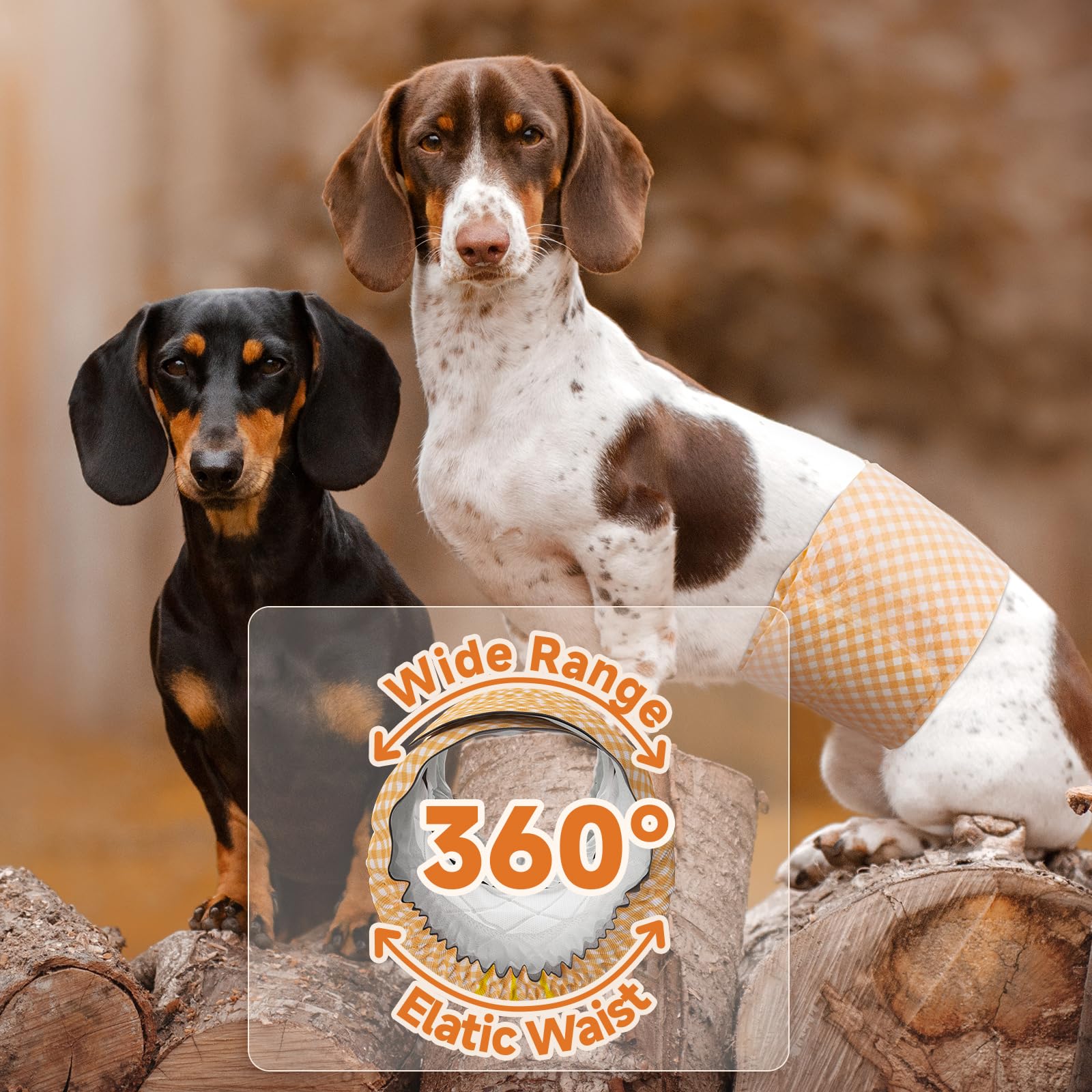MICOOYO dog wearing wrap conveys comfort for elderly or recovering dogs.