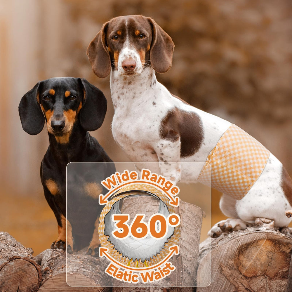 MICOOYO dog wearing wrap conveys comfort for elderly or recovering dogs.