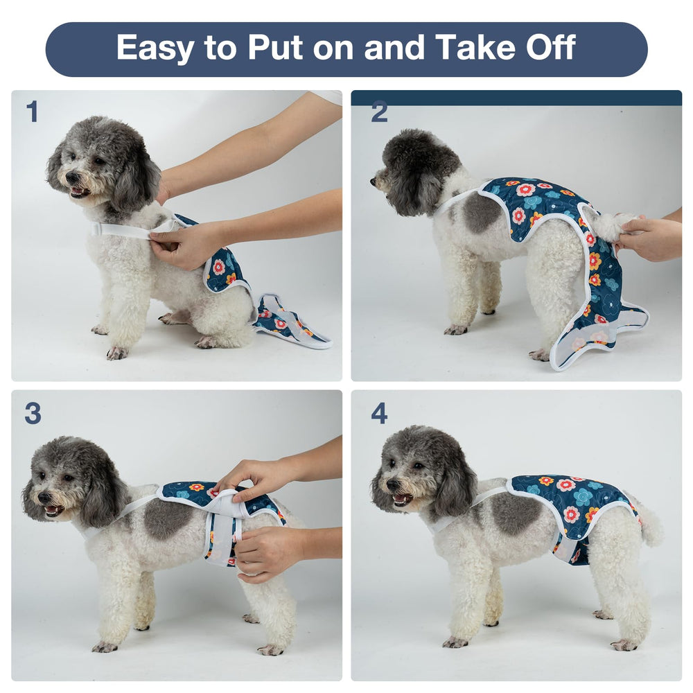 MICOOYO-fit-tip-measure-dog helps ensure a comfortable, secure fit across breeds.
