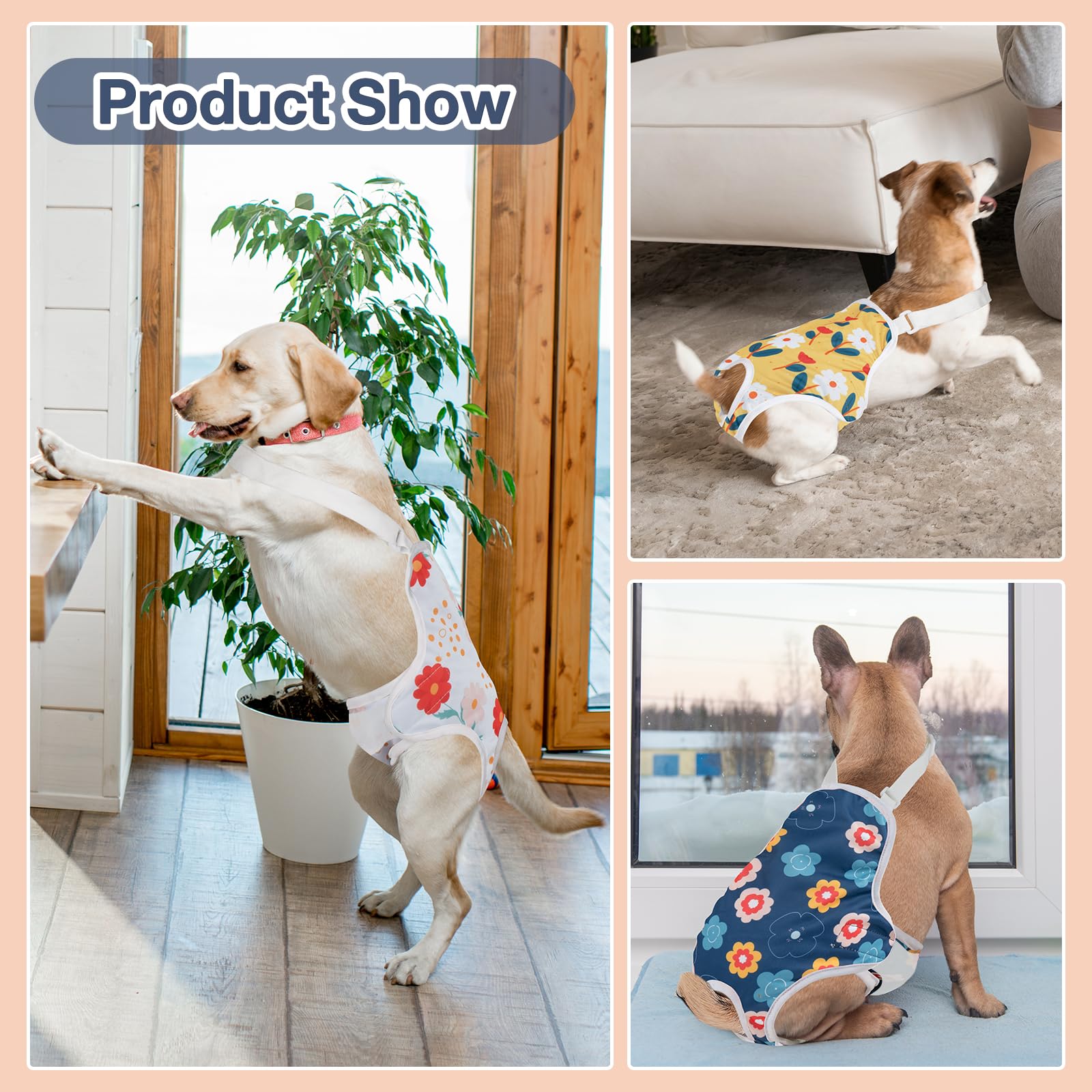 MICOOYO-floral-pattern-dog-underwear adds cheerful style during heat cycles.