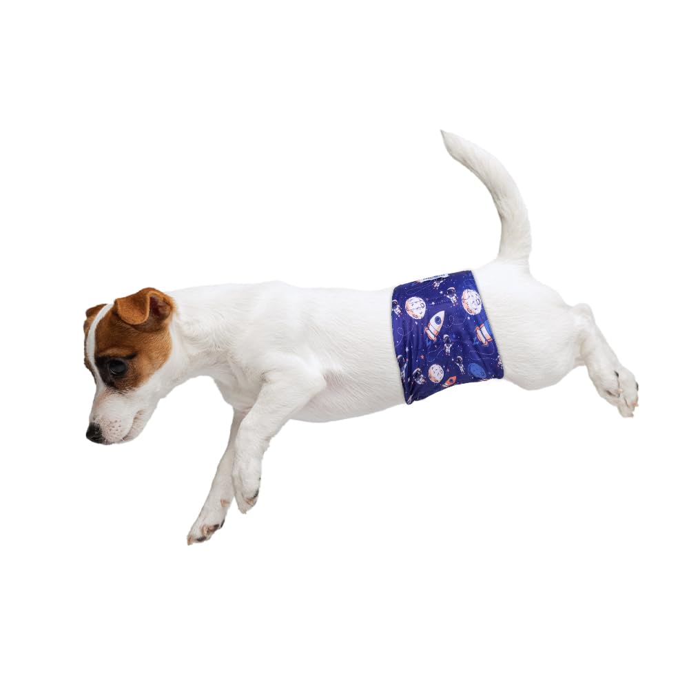 MICOOYO belly band absorbs moisture with protective outer layer.