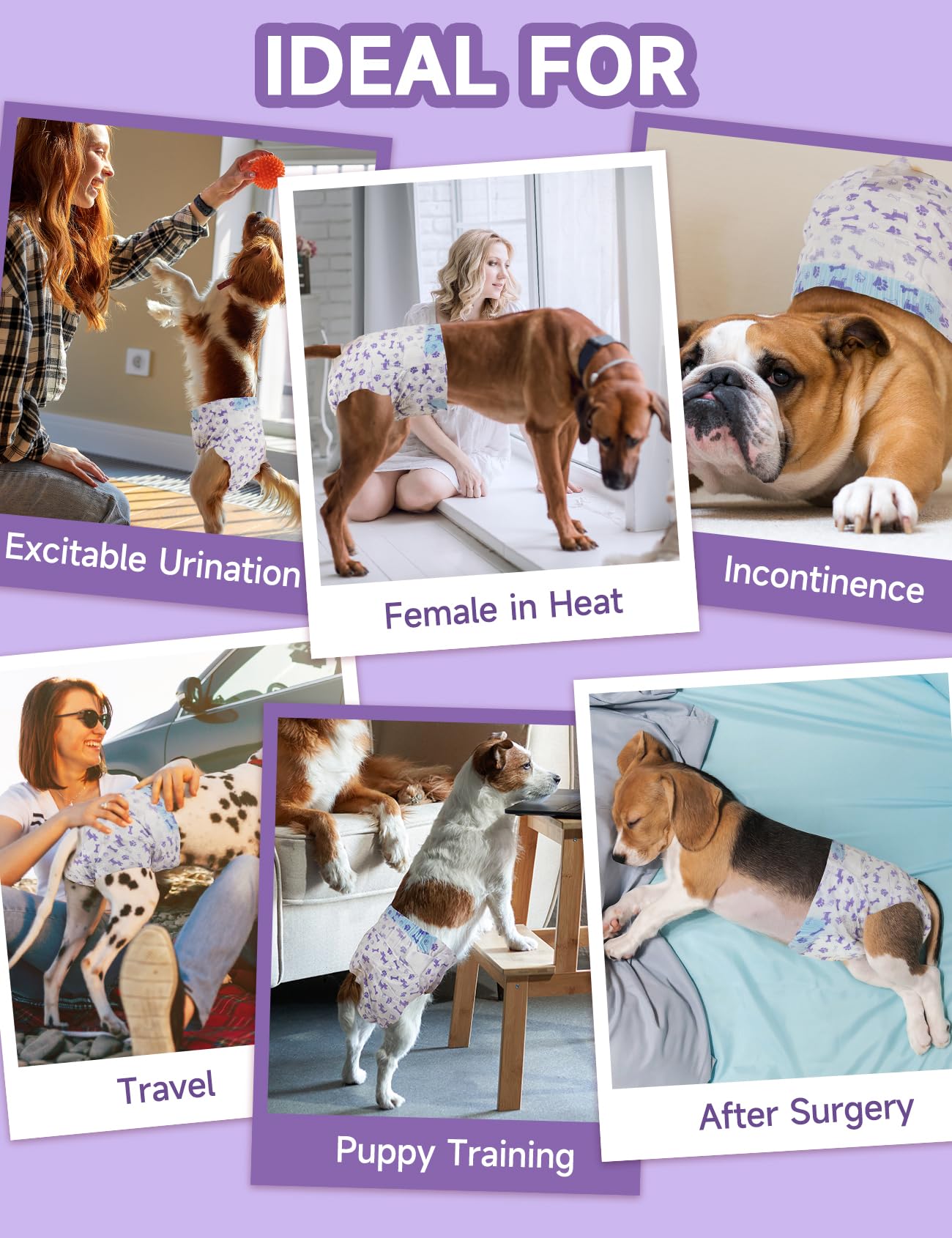 MICOOYO ideal for heat cycles and post-surgery care.