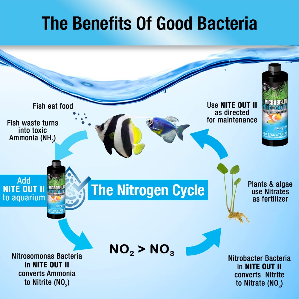 MICROBE-LIFT Nite-Out II reef-safe label for compatible reef tanks