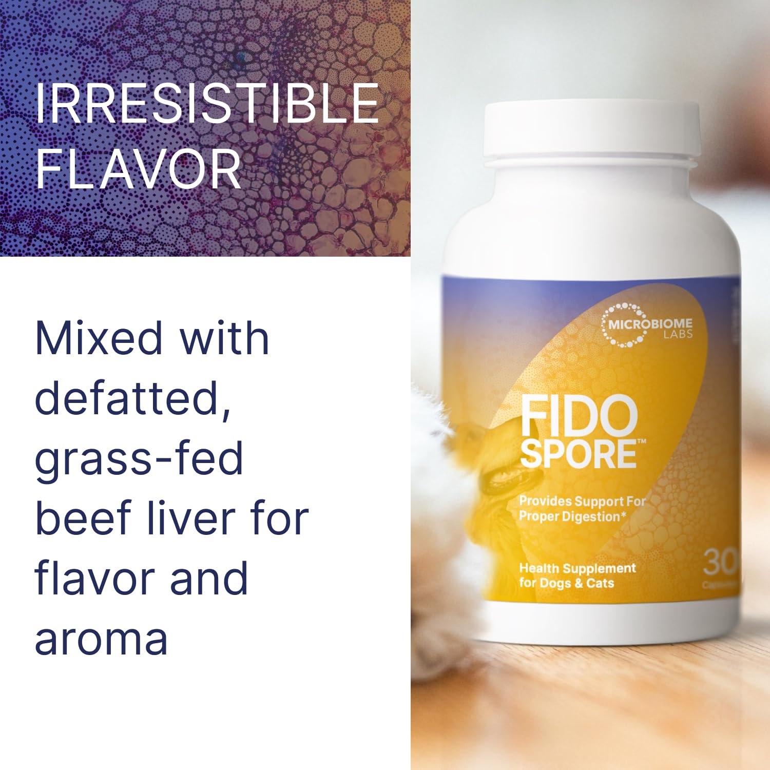 Microbiome Labs Fidospore jar close-up highlights spore-forming strains for stability.