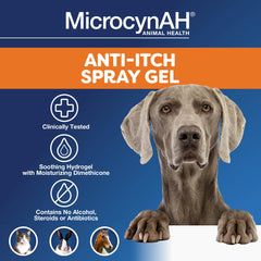 MicrocynAH anti-itch spray action on dog demonstrates quick, mess-free application.