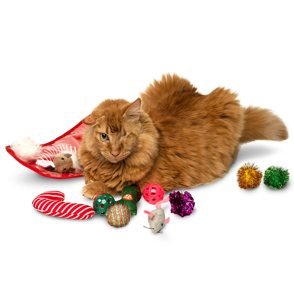 Midlee stocking cat toys with crinkle balls for texture-rich sensory stimulation