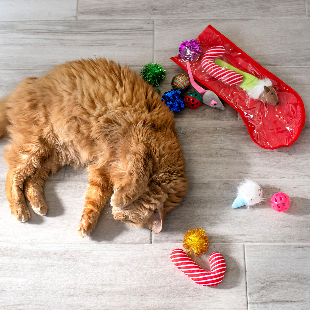 Midlee plush toys provide cozy, comforting play during quiet sessions