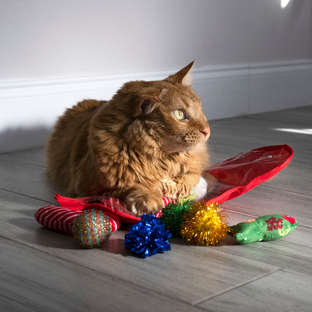Midlee holiday set offers varied textures for multi-sensory engagement
