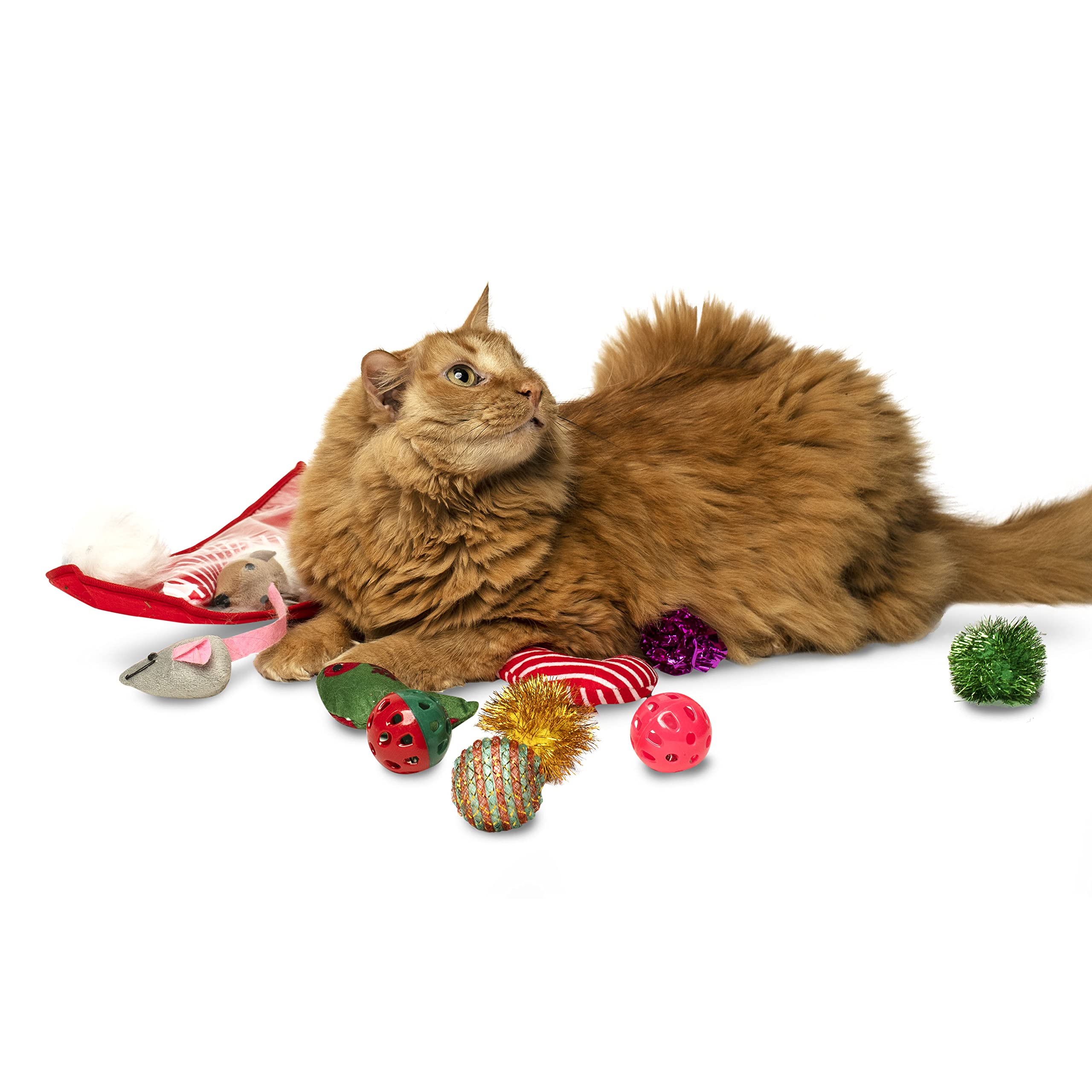 Midlee stocking comes ready-to-gift, perfect for holiday gifting without wrapping