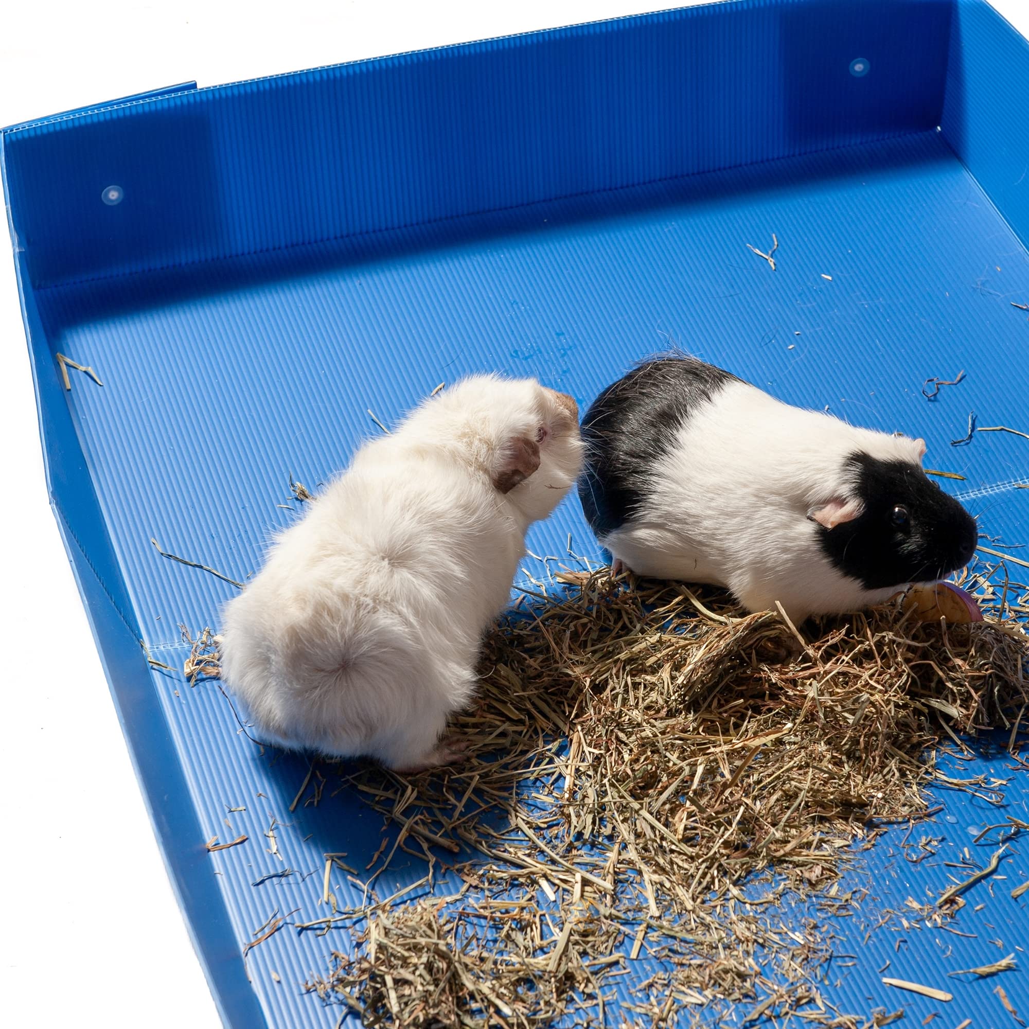 Midlee corrugated liner makes cleaning quick and less messy for busy pig owners.