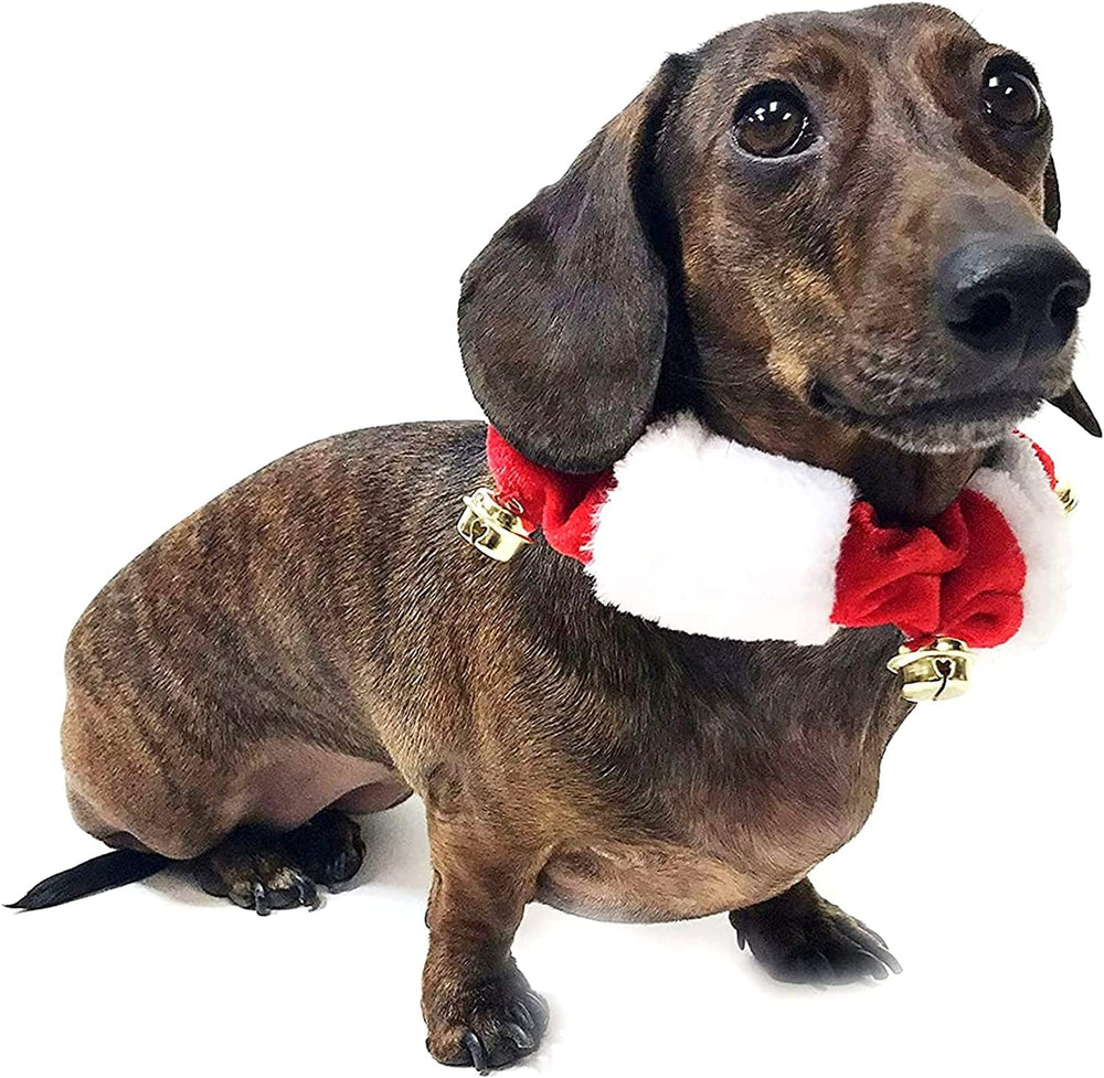 Midlee dog collar with jingle bells in red and white for cheerful holiday moments