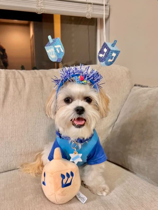 Midlee Dreidel Hanukkah dog toy in 8x4x5 inch size for sturdy play.