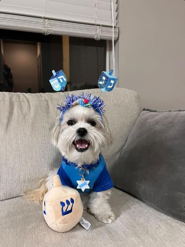 Midlee soft plush dreidel toy with squeaker for cozy indoor fun.