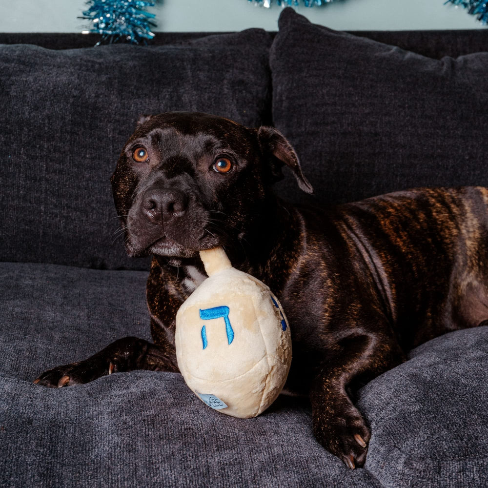 Midlee Dreidel Hanukkah dog toy features tan fabric and blue Hebrew lettering.