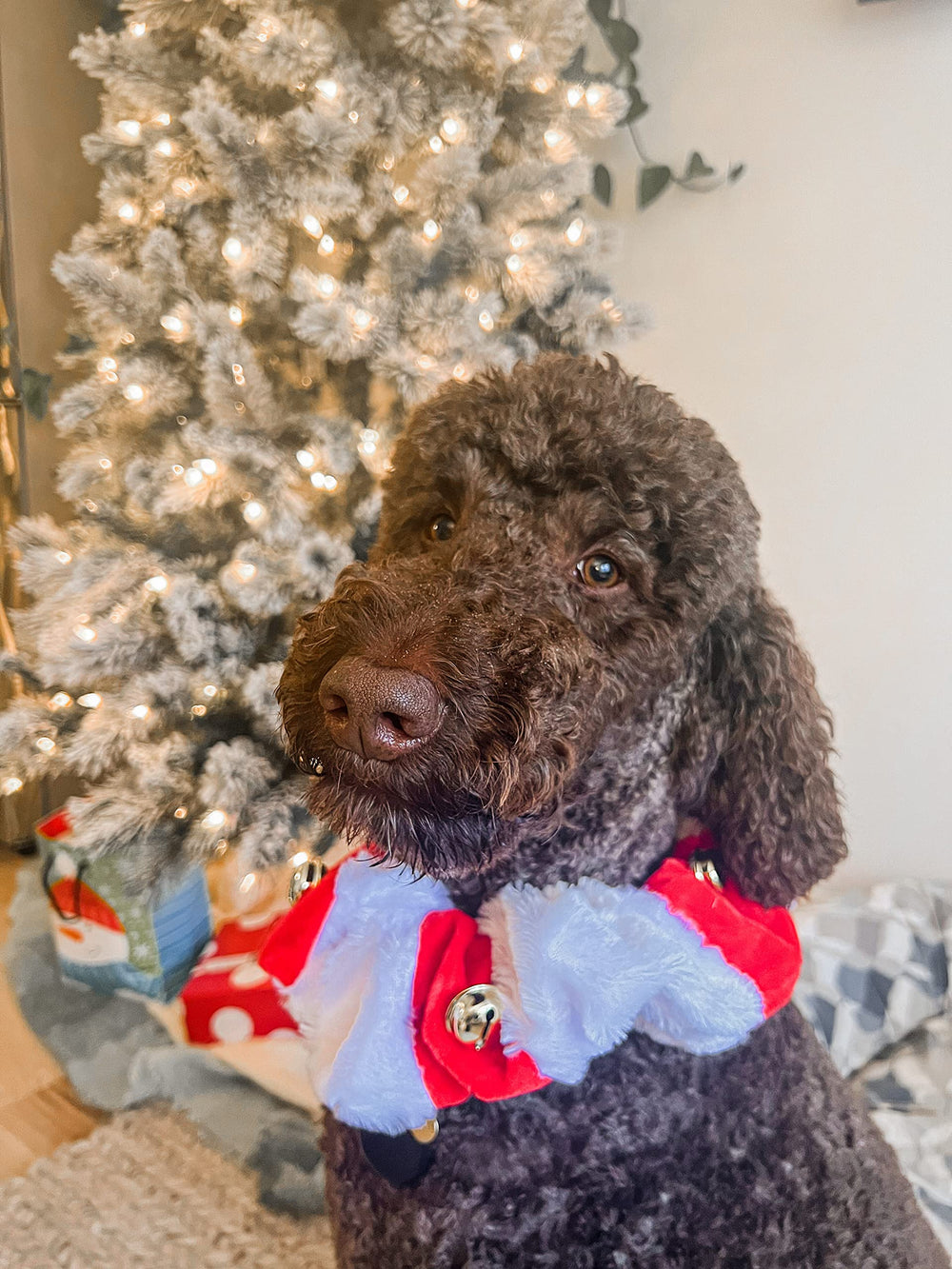 Midlee elf hat and collar pairing creates a coordinated Christmas look