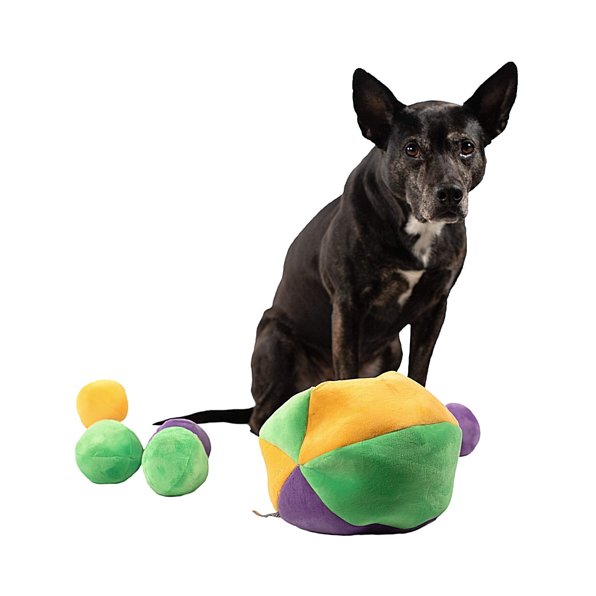 Midlee Hide a Ball bright colors draw attention and invite digging exploration.