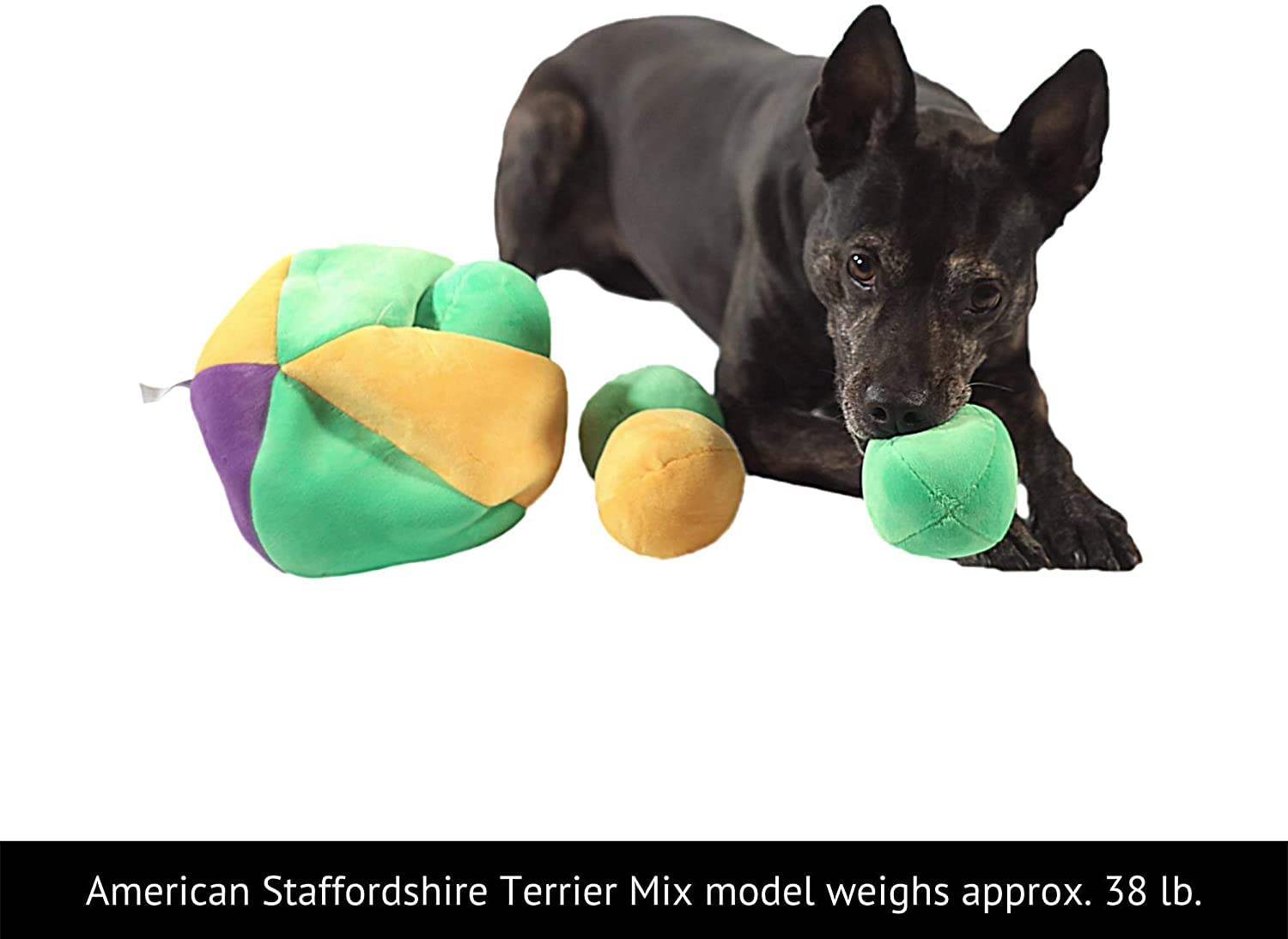 Midlee Hide a Ball features squeakers that reward progressive discoveries for persistent sniffing.