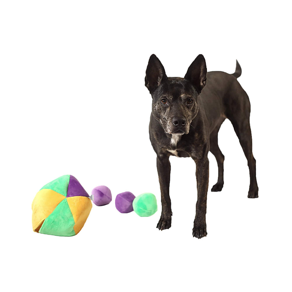 Midlee Hide a Ball enables solo play and mental engagement for playful dogs.